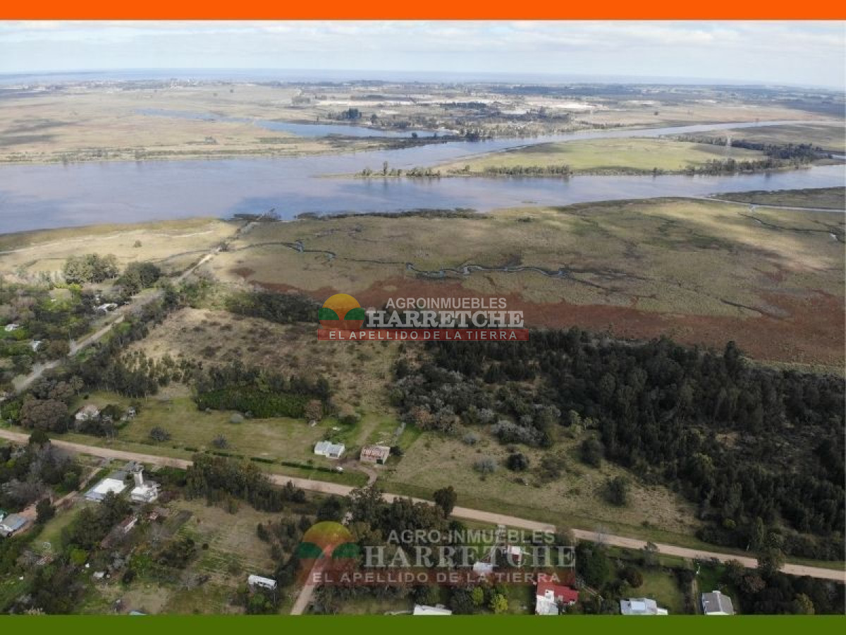 Chacra ID.144 - Campo, 69 has, Las Brujas con costa al Rio Santa Lucia, Casco, varias construcciones