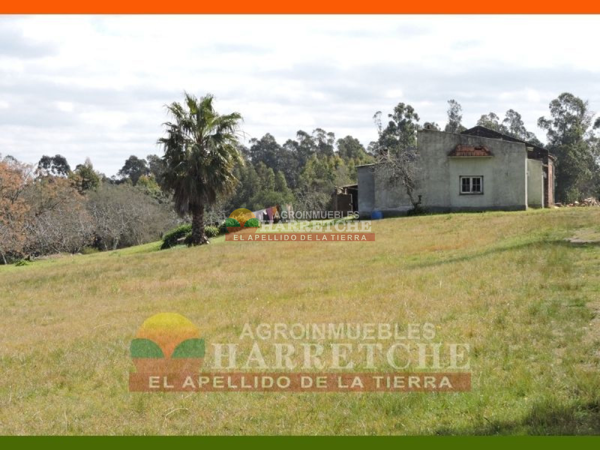 Chacra ID.144 - Campo, 69 has, Las Brujas con costa al Rio Santa Lucia, Casco, varias construcciones