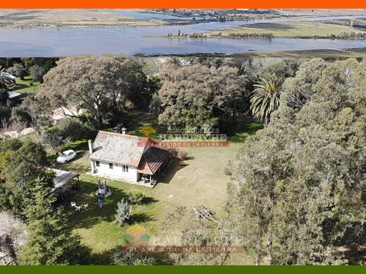 Chacra ID.144 - Campo, 69 has, Las Brujas con costa al Rio Santa Lucia, Casco, varias construcciones