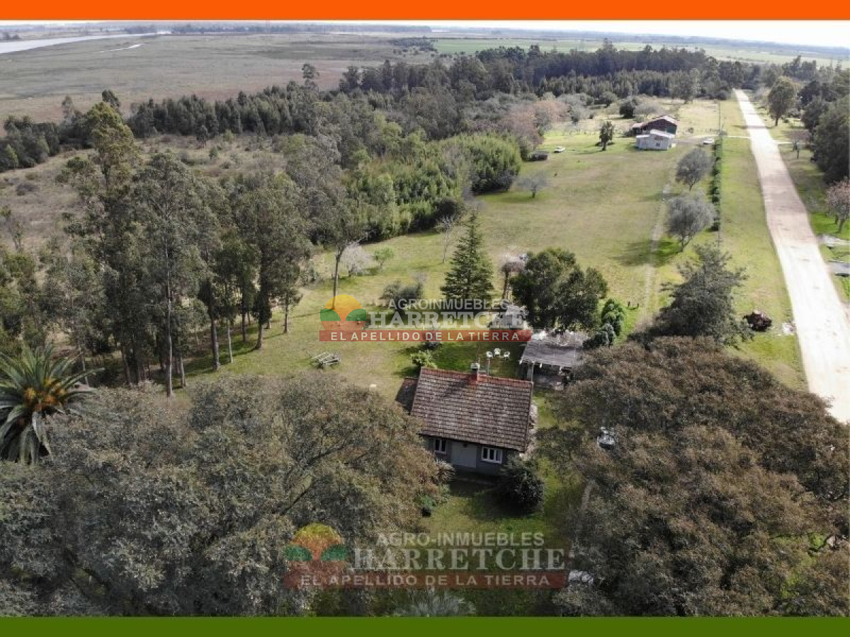 Chacra ID.144 - Campo, 69 has, Las Brujas con costa al Rio Santa Lucia, Casco, varias construcciones