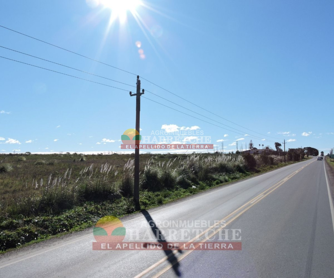 Chacra ID.223 -  Chacra en venta 7 has sobre Ruta, Canelón Chico