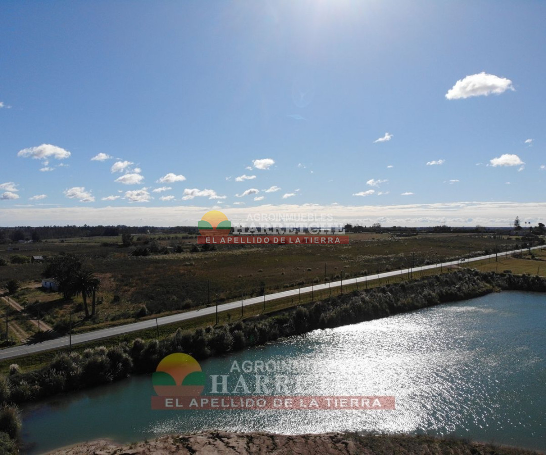 Chacra ID.223 -  Chacra en venta 7 has sobre Ruta, Canelón Chico