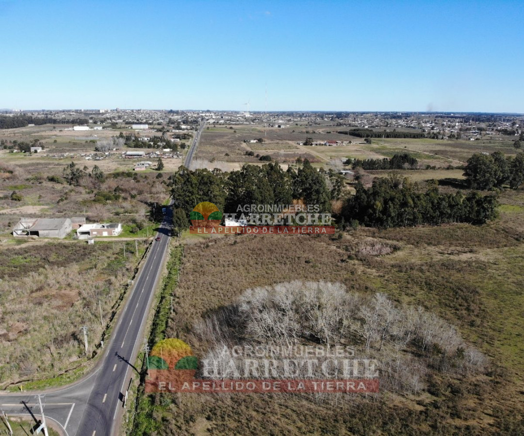 Chacra ID.223 -  Chacra en venta 7 has sobre Ruta, Canelón Chico