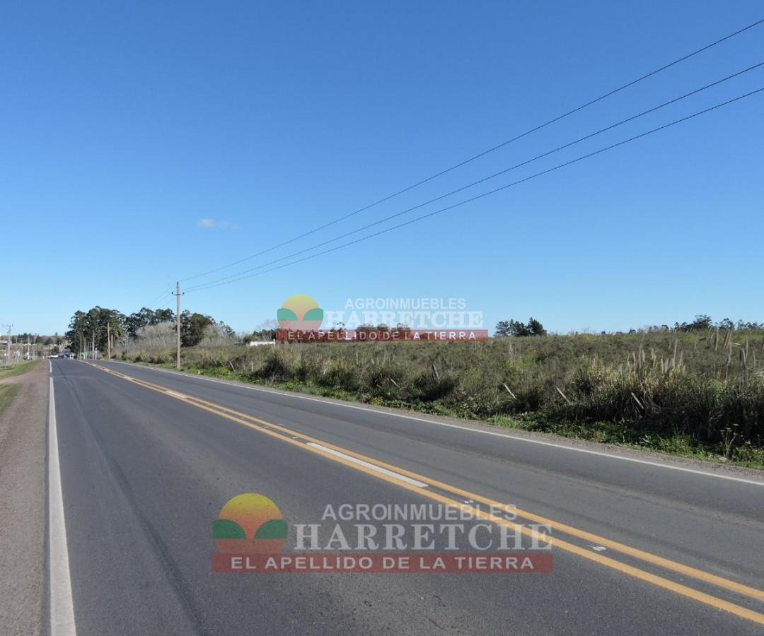 Chacra ID.223 -  Chacra en venta 7 has sobre Ruta, Canelón Chico