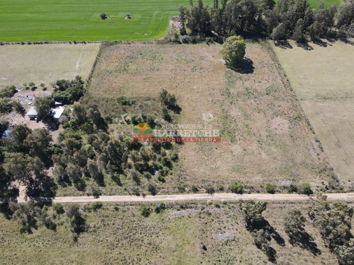 Chacra ID.538 - Chacra de 2 has en Los Cerrillos, zona alta, hermoso lugar!