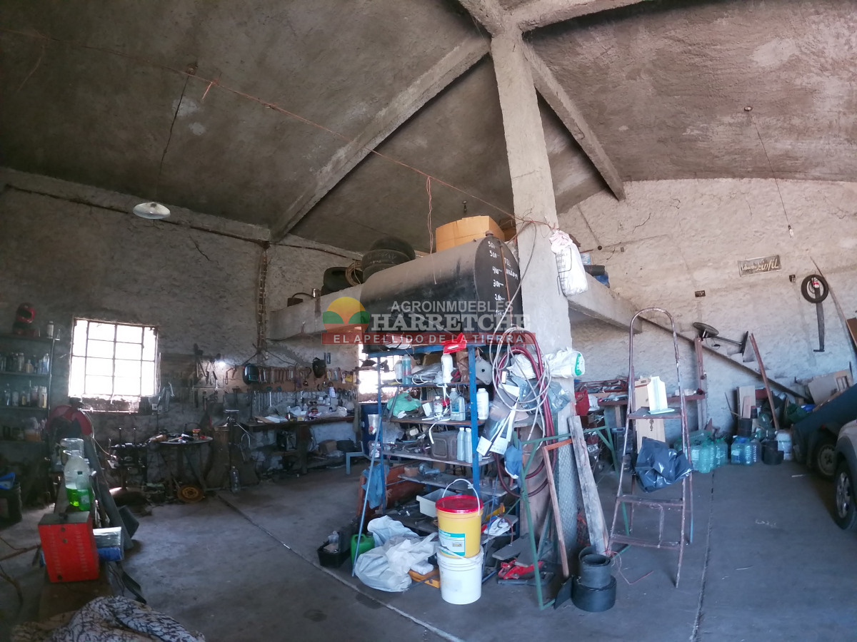 Chacra ID.431 - Chacra en Los Cerrillos, 5.7 has, Casa, barbacoa, galpones. 