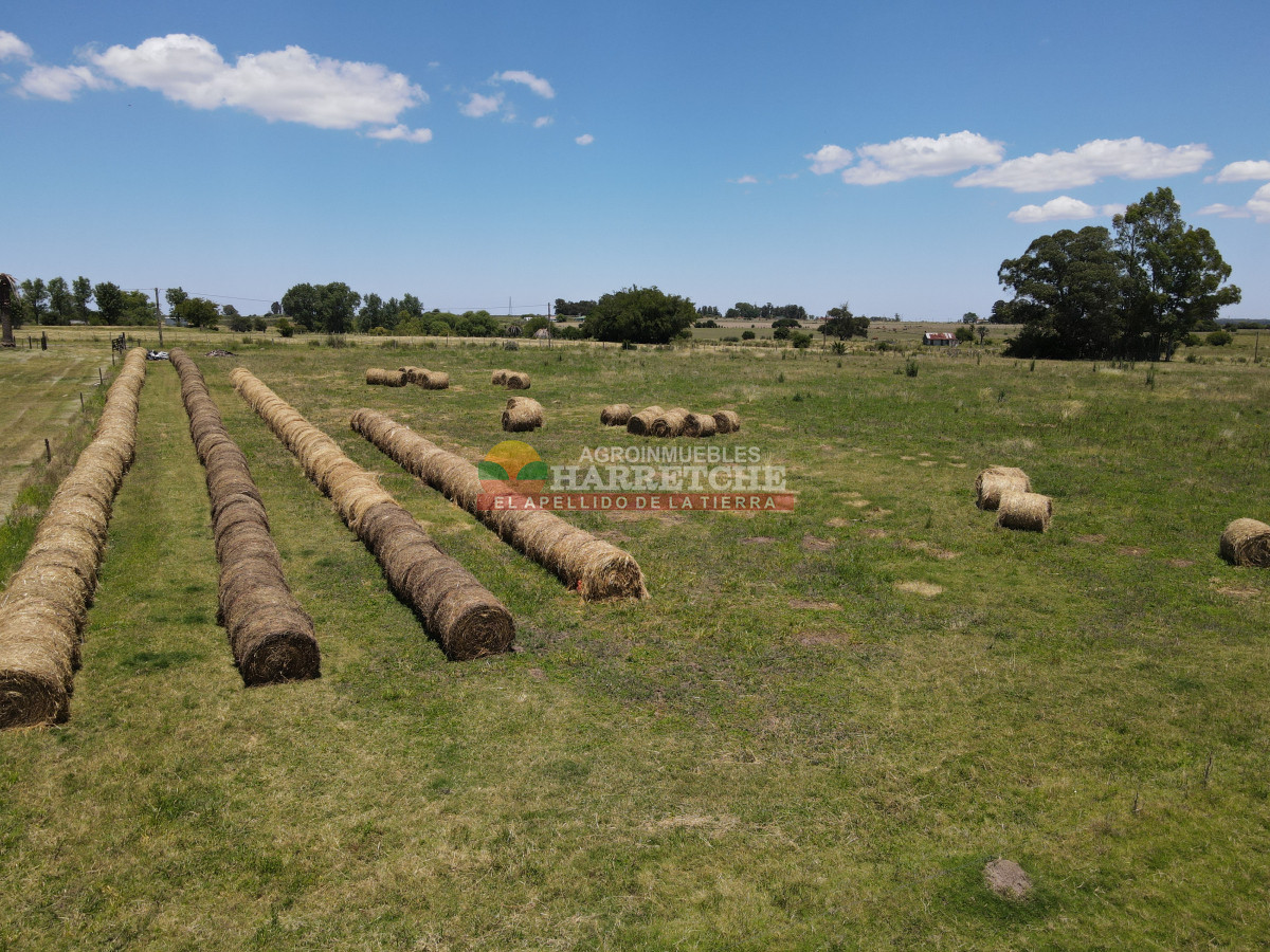 Chacra ID.431 - Chacra en Los Cerrillos, 5.7 has, Casa, barbacoa, galpones. 