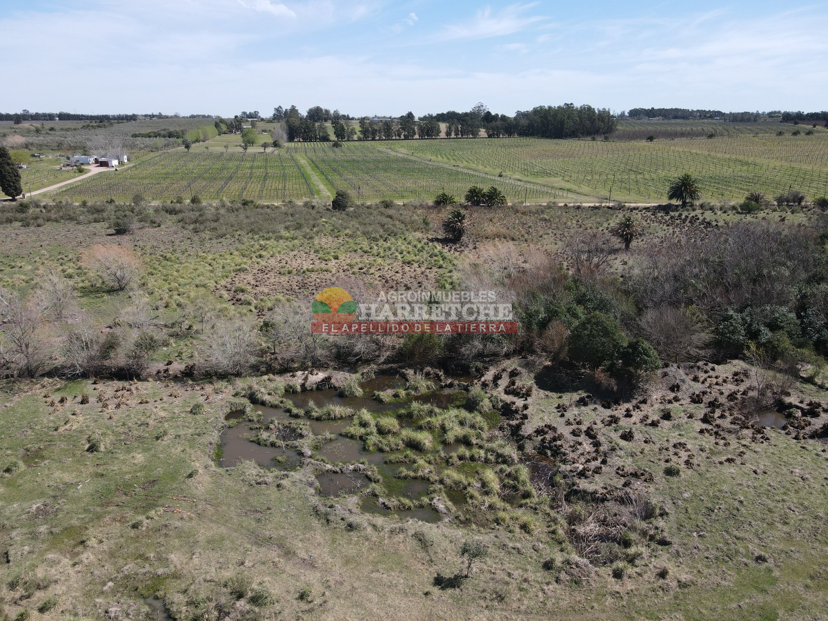 Chacra ID.333 - Chacra en Montevideo rural, 7 has muy bien ubicadas