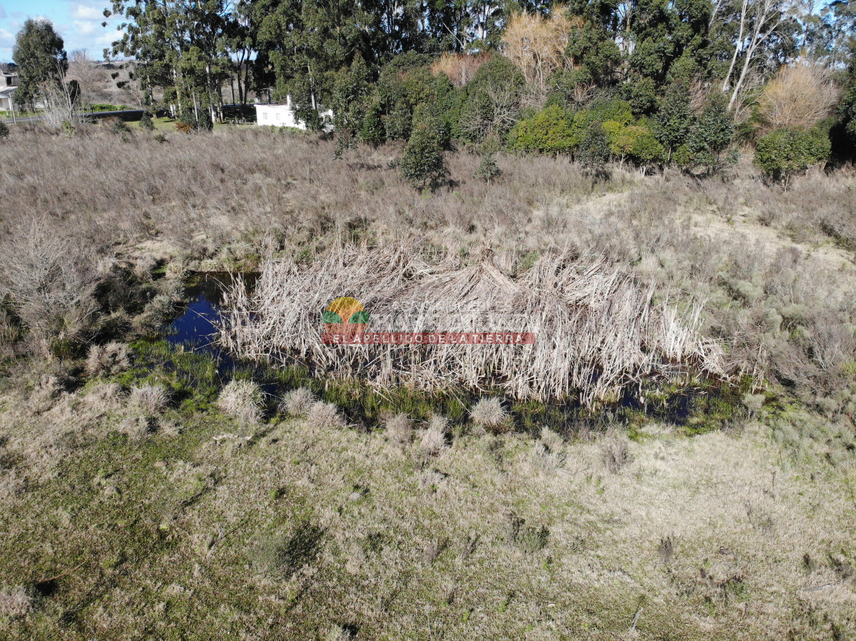 Chacra ID.415 - Chacra de 14 has a pasitos de ruta 67 y Las Piedras