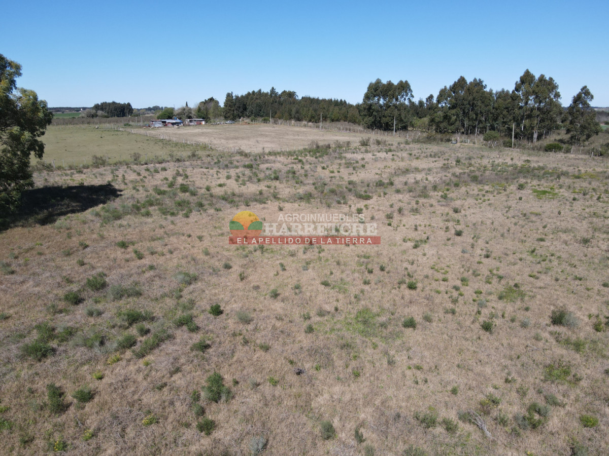 Chacra ID.538 - Chacra de 2 has en Los Cerrillos, zona alta, hermoso lugar!
