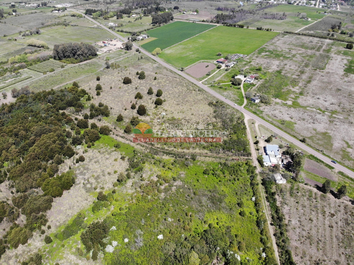 Chacra ID.389 - Chacra de 3 has, con instalaciones, a pasitos de Progreso! 