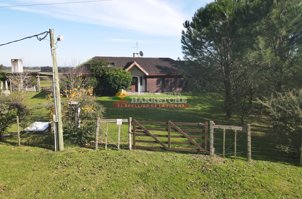 Chacra ID.474 - Campo de Olivos en venta, con fábrica de aceite y casa de ensueño
