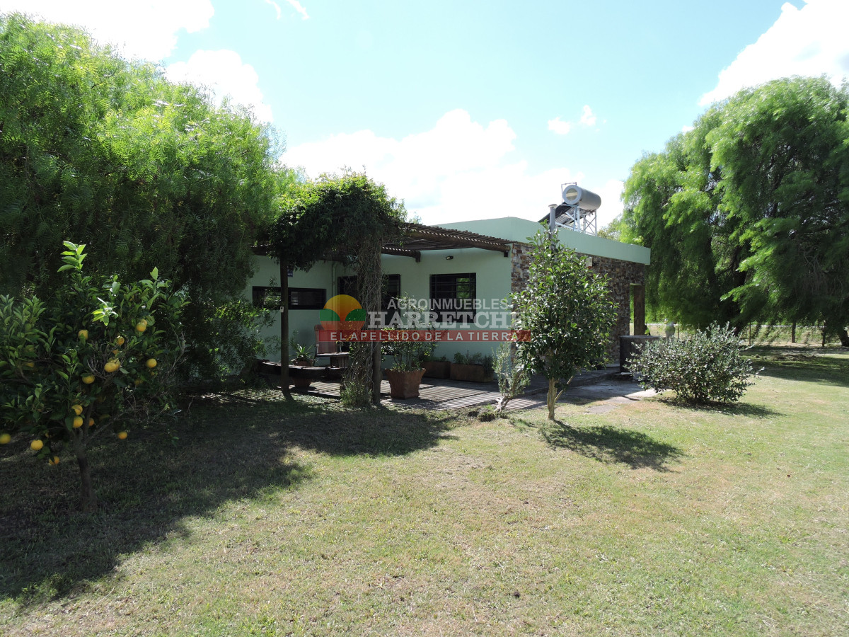 Chacra ID.438 - Chacra en Las Violetas, 2 has con casa, barbacoa, piscina