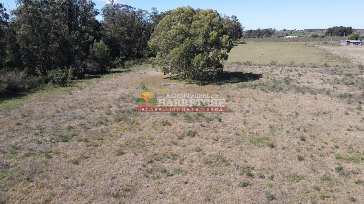 Chacra ID.538 - Chacra de 2 has en Los Cerrillos, zona alta, hermoso lugar!