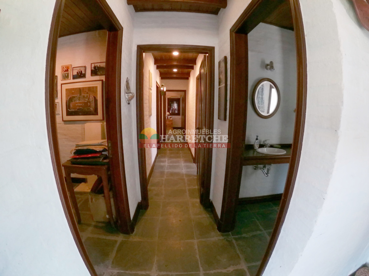 Chacra ID.474 - Campo de Olivos en venta, con fábrica de aceite y casa de ensueño