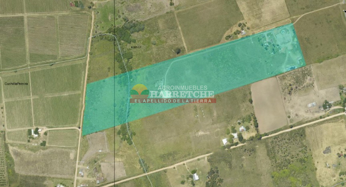 Chacra ID.334 - Chacra en venta 7 has. Montevideo rural, a 1 km de Camino Mendoza