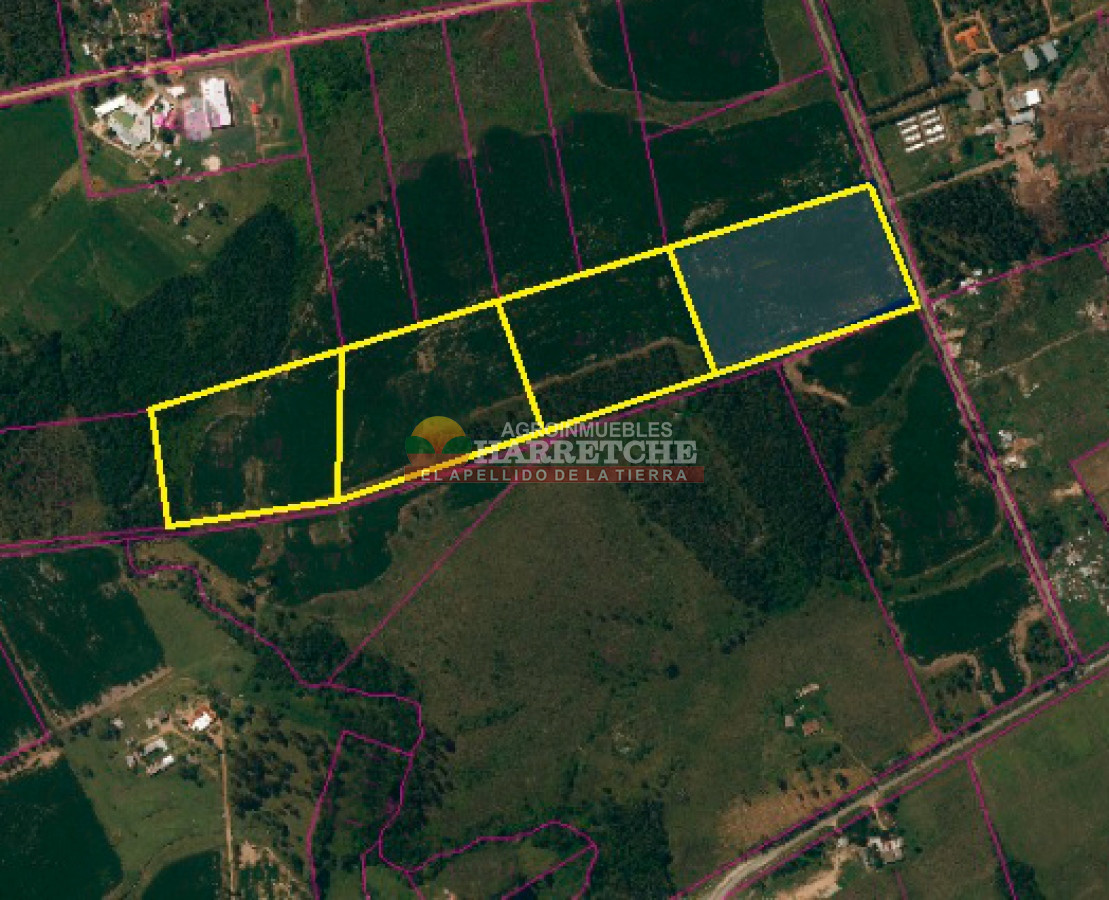 Chacra ID.306 - 12.8 has en Paso del Andaluz, a metros de ruta perimetral. 