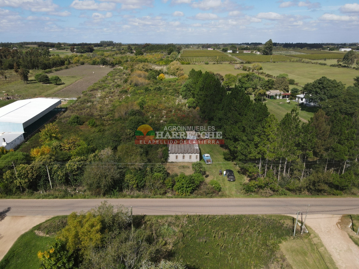 Chacra ID.374 - Chacra en Cuatro Piedras, 2 has con casa, galpón, muy buen lugar.