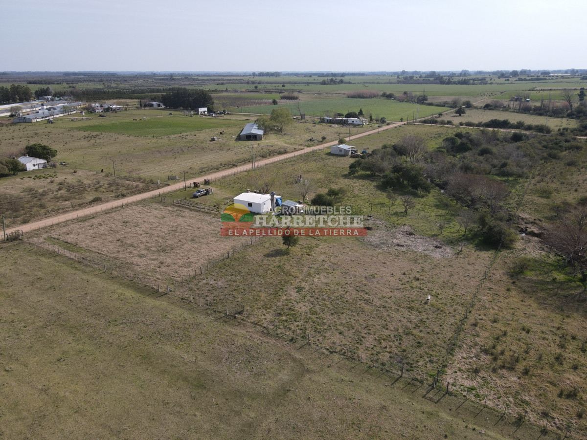 Chacra ID.332 - Chacra en venta Los Cerrillos, 1 has con casa de dos dormitorios