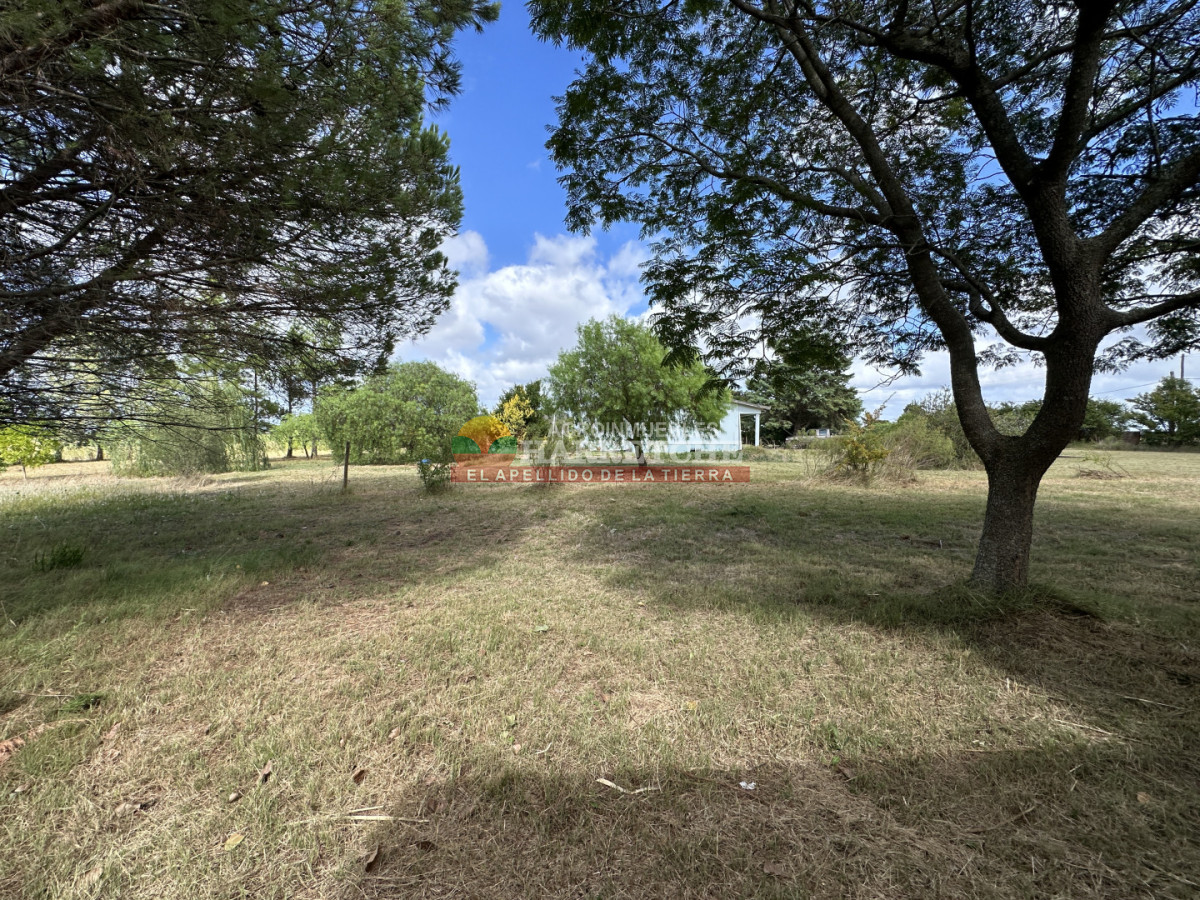 Chacra ID.511 - Chacra en Los Cerrillos, Villa Nueva, 4 has, 2 casas, hermoso entorno! AH-7244