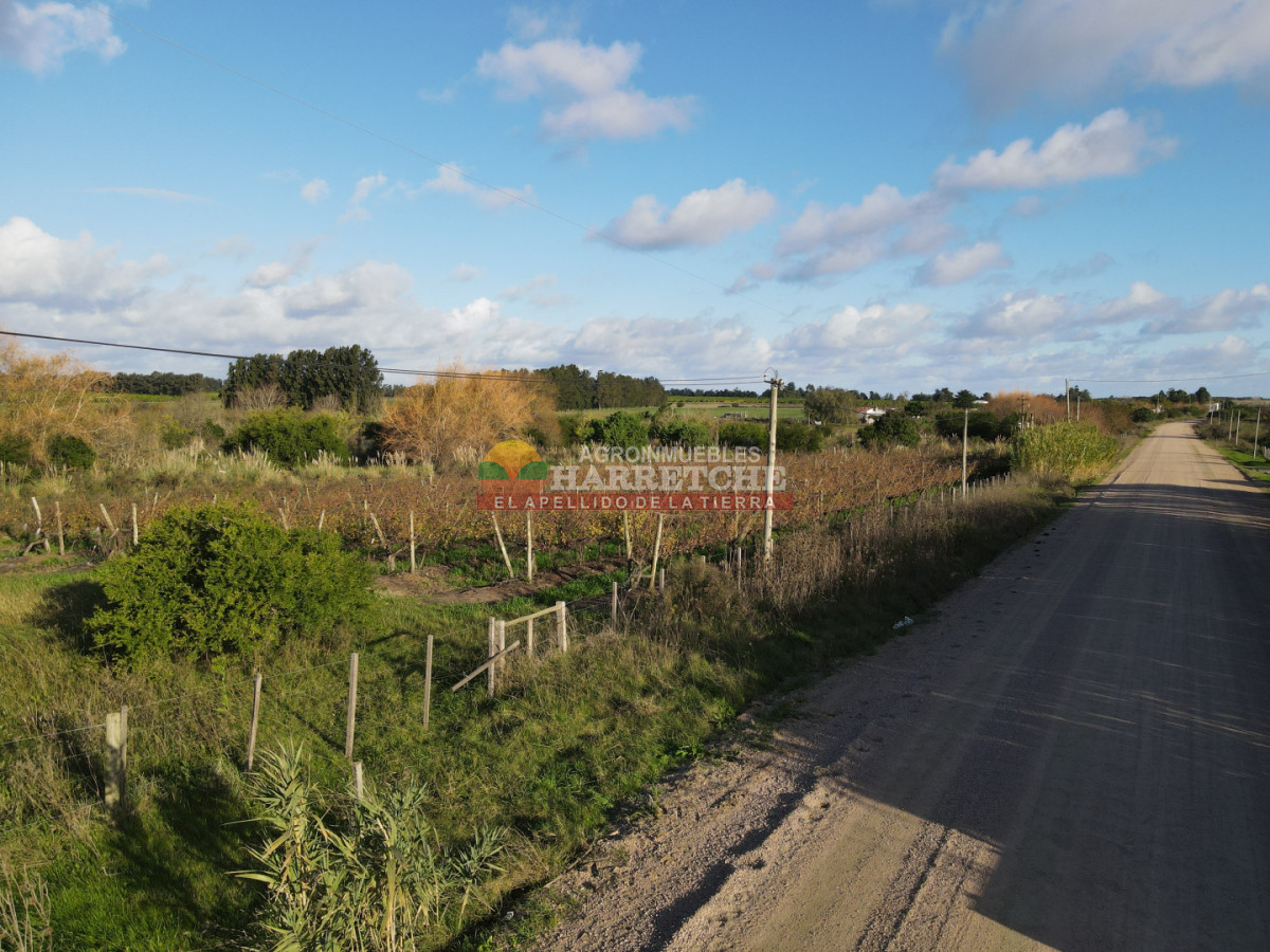 Chacra ID.493 - Chacra en Los Cerrillos, 4 has con casa, galpón, arroyo!