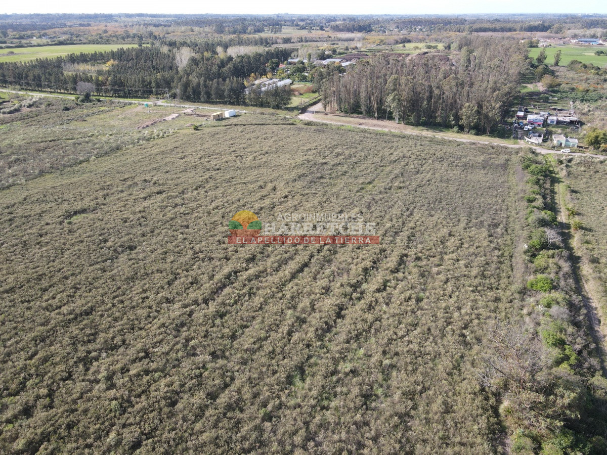 Chacra ID.306 - 12.8 has en Paso del Andaluz, a metros de ruta perimetral. 