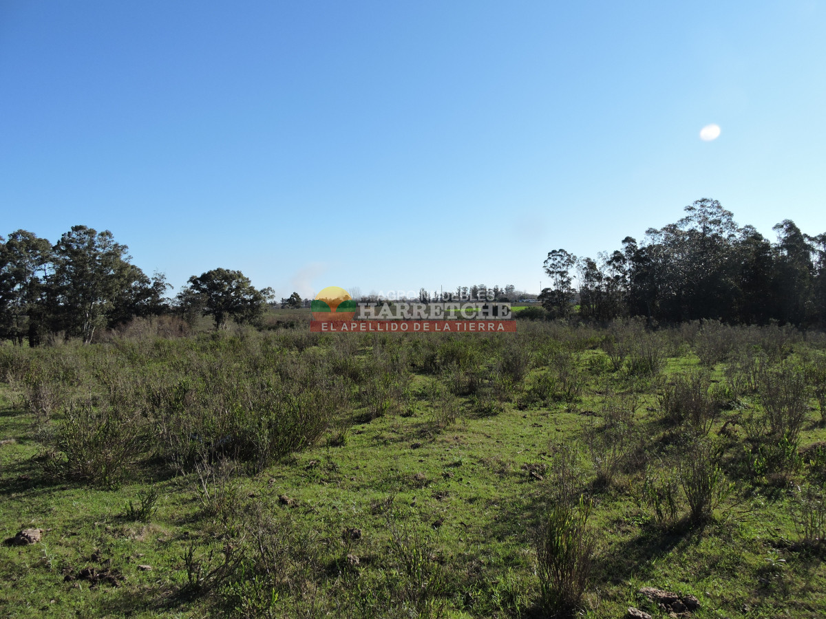 Chacra ID.415 - Chacra de 14 has a pasitos de ruta 67 y Las Piedras