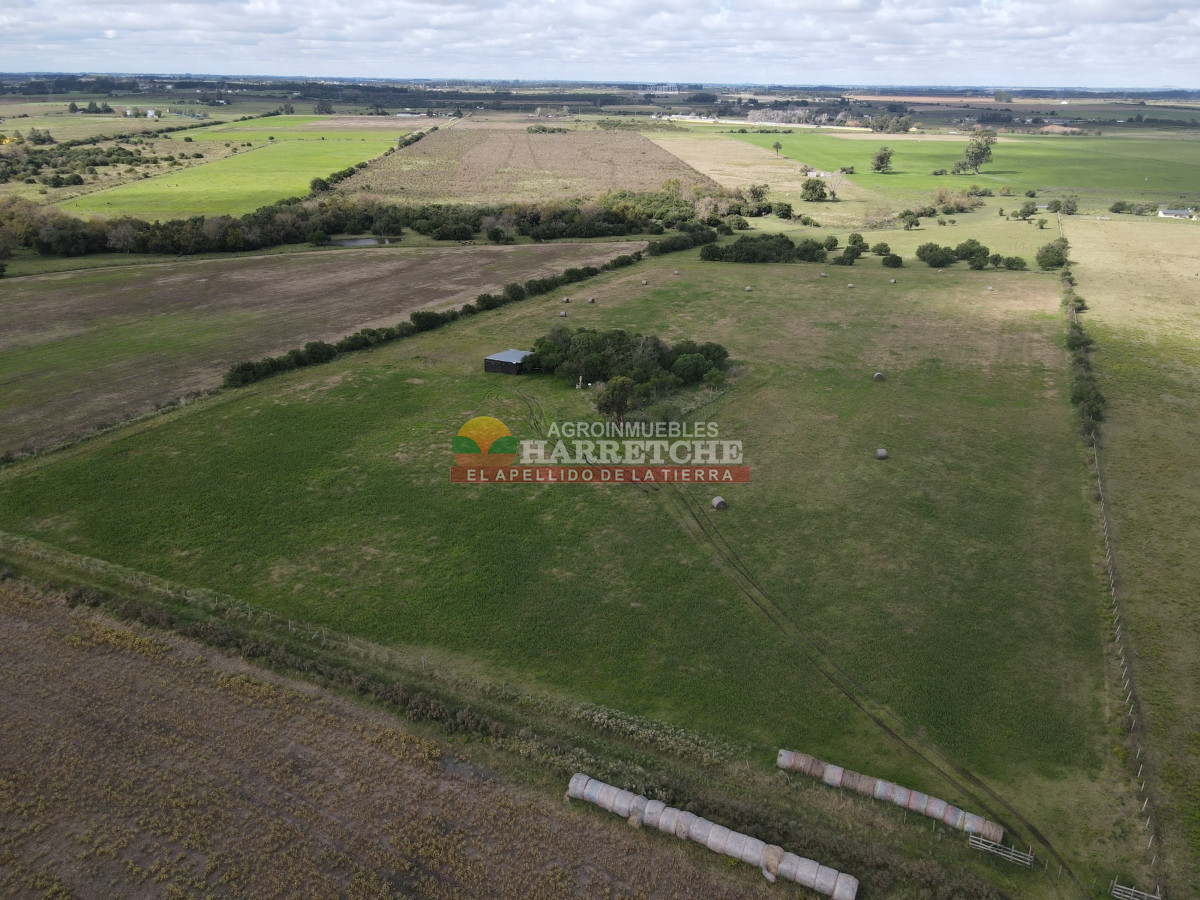 Chacra ID.384 - Chacra de 5 has en Los Cerrillos, cañada, alambrados, muy lindo entorno!