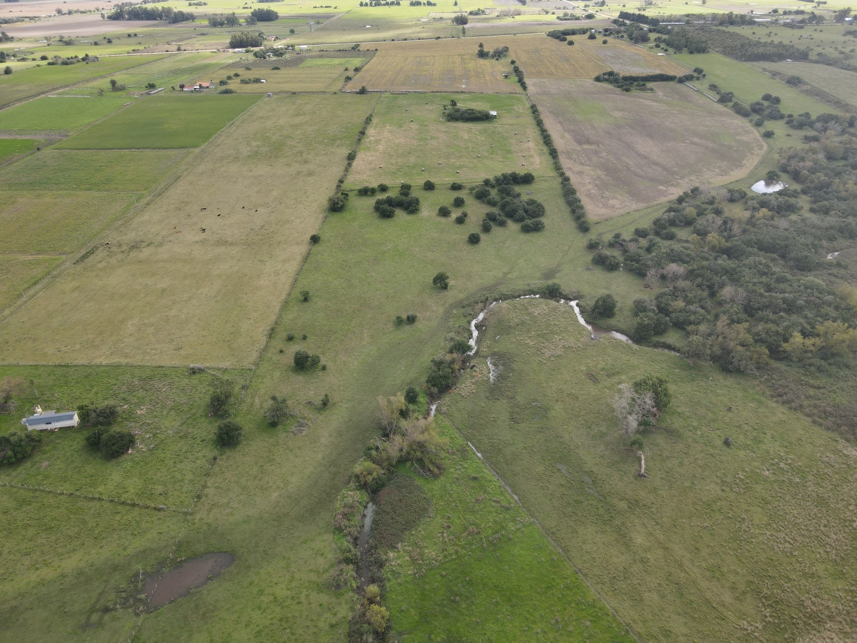 Chacra de 5 has en Los Cerrillos, cañada, alambrados, muy lindo entorno!