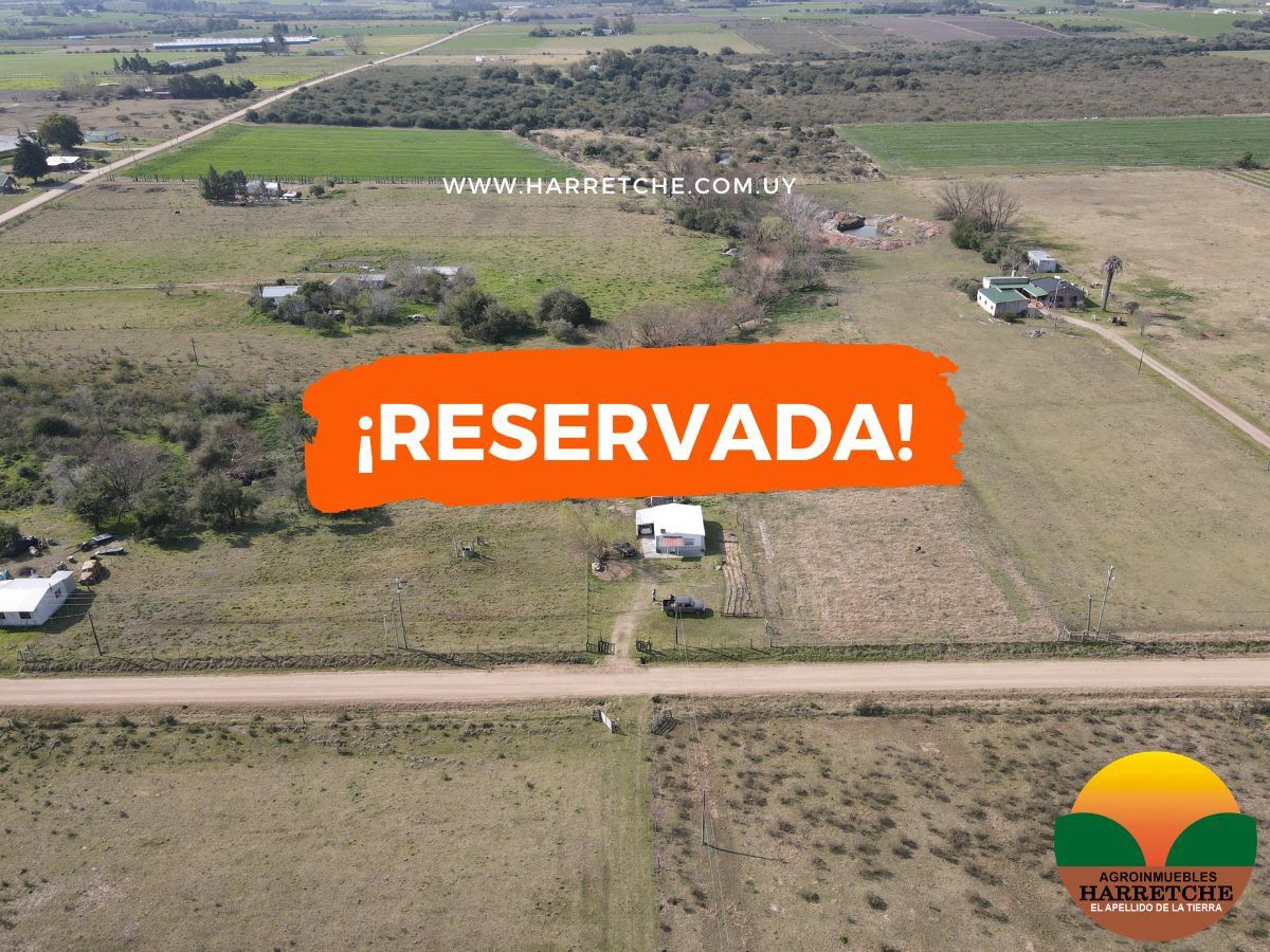 Chacra en venta Los Cerrillos, 1 has con casa de dos dormitorios