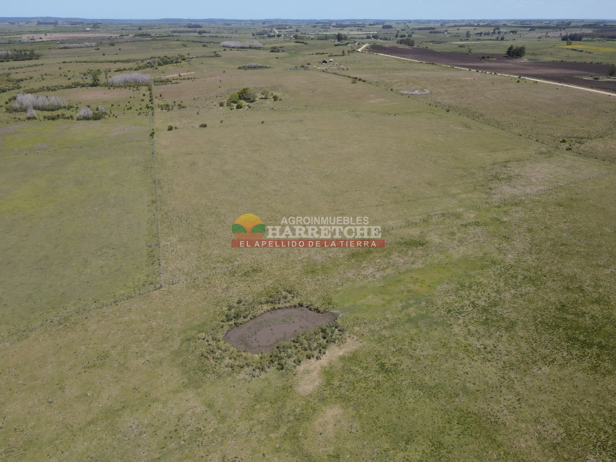 Campo Ref.345 - Campo en venta 19 has en Tapia, 2 casas, tajamares, a 15 min de San Jacinto! 