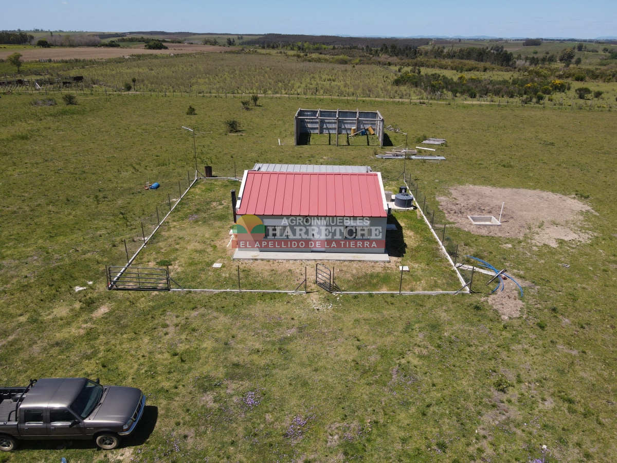 Campo Ref.345 - Campo en venta 19 has en Tapia, 2 casas, tajamares, a 15 min de San Jacinto! 