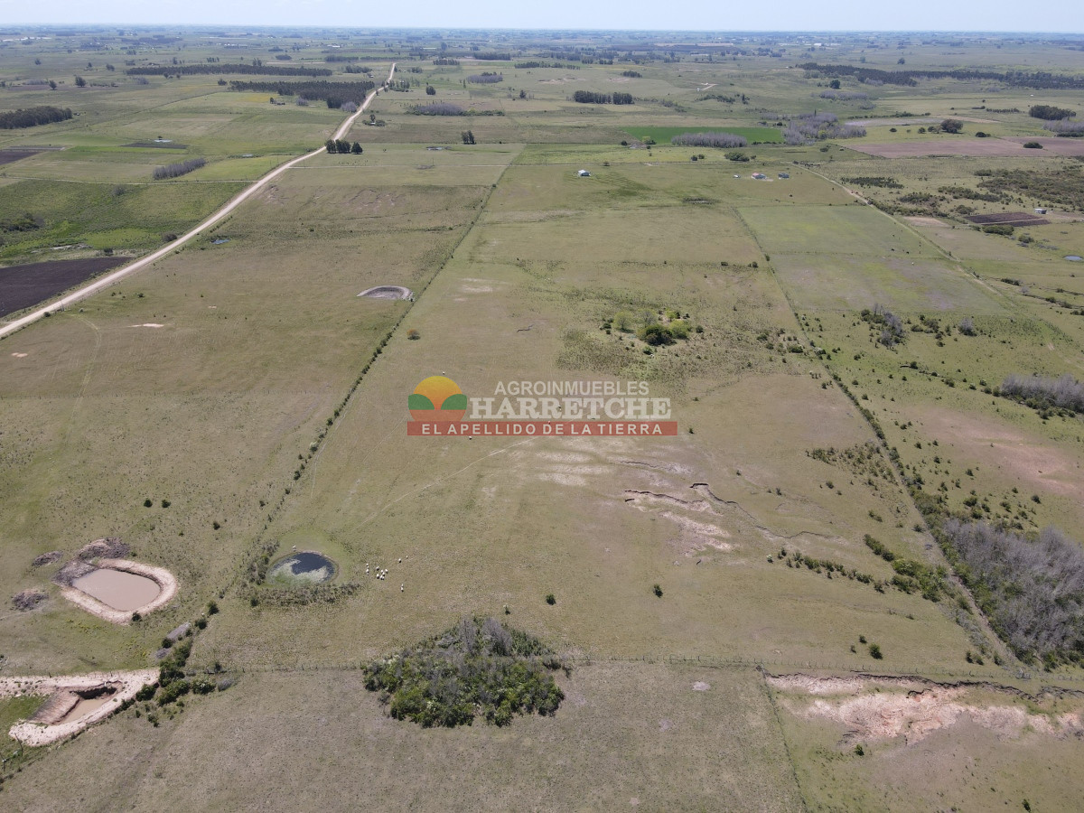 Campo Ref.345 - Campo en venta 19 has en Tapia, 2 casas, tajamares, a 15 min de San Jacinto! 
