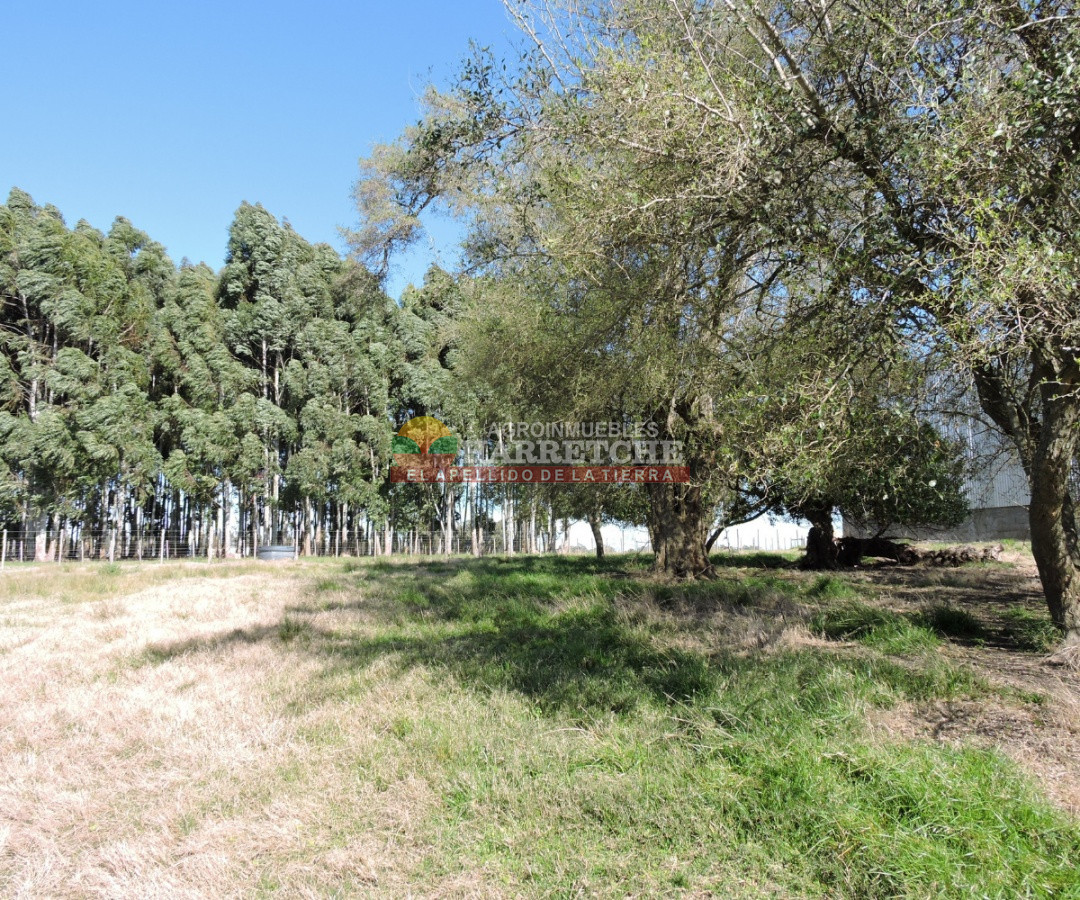 Campo Ref.263 - Campo en venta 18 has  Canelones, con todas las instalaciones! 