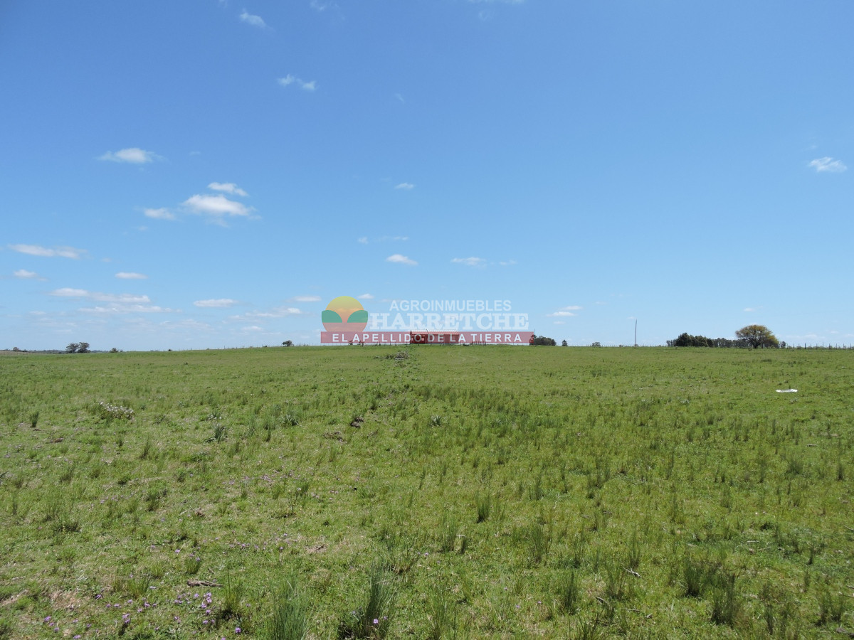 Campo Ref.345 - Campo en venta 19 has en Tapia, 2 casas, tajamares, a 15 min de San Jacinto! 