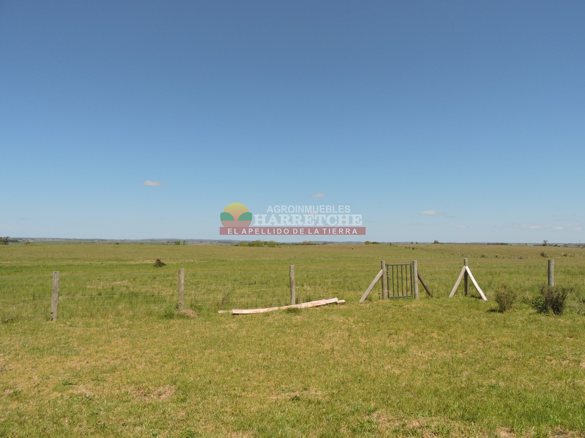 Campo Ref.345 - Campo en venta 19 has en Tapia, 2 casas, tajamares, a 15 min de San Jacinto! 