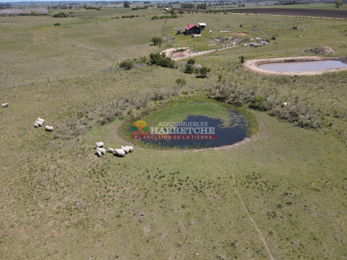 Campo Ref.345 - Campo en venta 19 has en Tapia, 2 casas, tajamares, a 15 min de San Jacinto! 