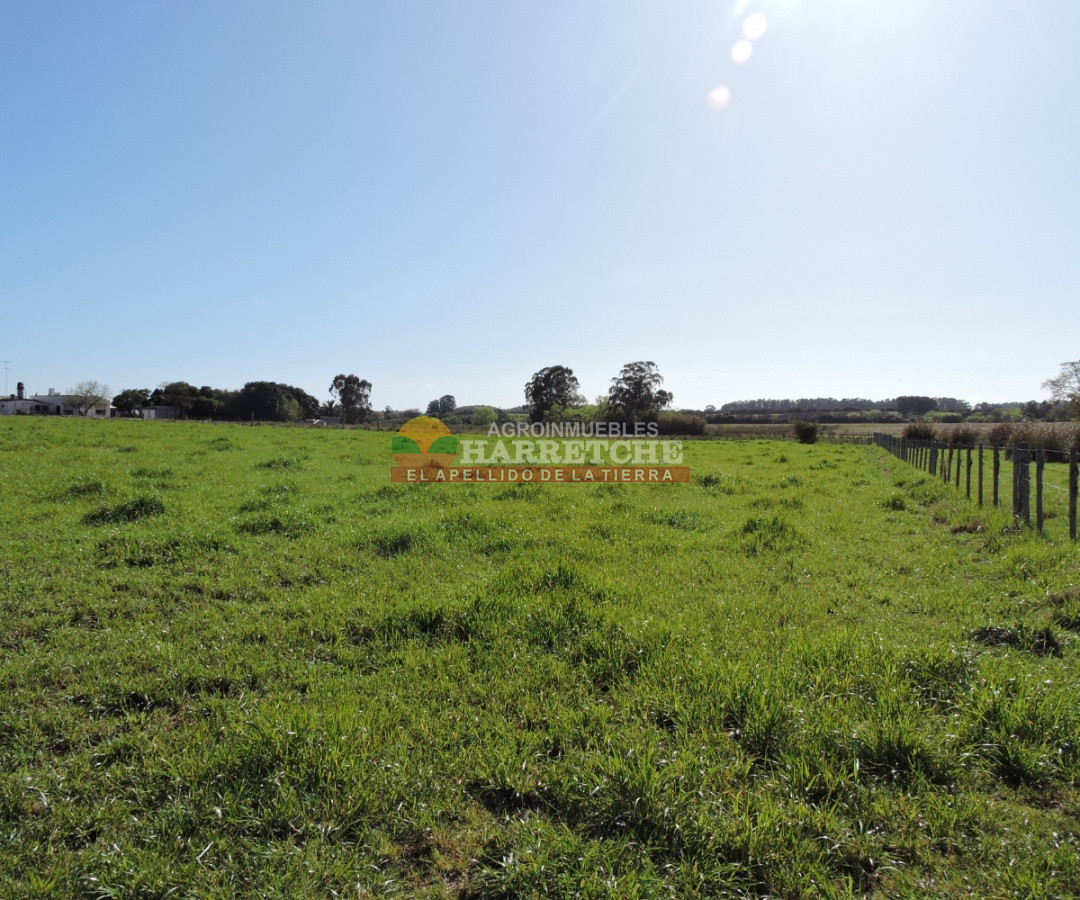 Campo Ref.263 - Campo en venta 18 has  Canelones, con todas las instalaciones! 