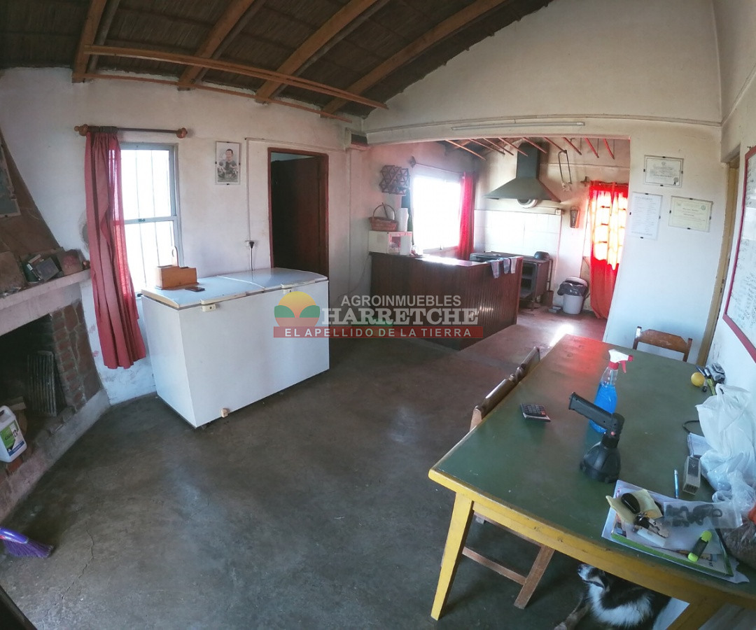 Campo Ref.263 - Campo en venta 18 has  Canelones, con todas las instalaciones! 