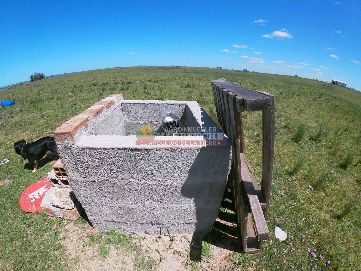 Campo Ref.345 - Campo en venta 19 has en Tapia, 2 casas, tajamares, a 15 min de San Jacinto! 