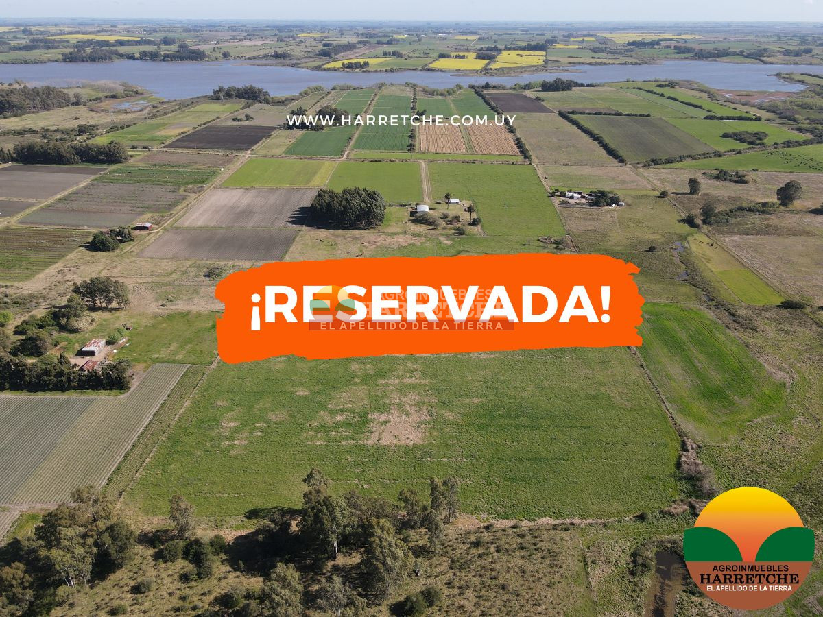Campo Ref.263 - Campo en venta 18 has  Canelones, con todas las instalaciones! 