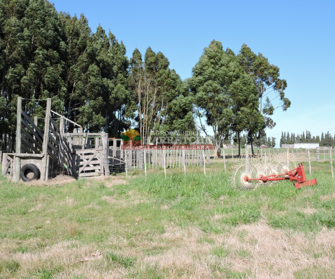 Campo Ref.263 - Campo en venta 18 has  Canelones, con todas las instalaciones! 