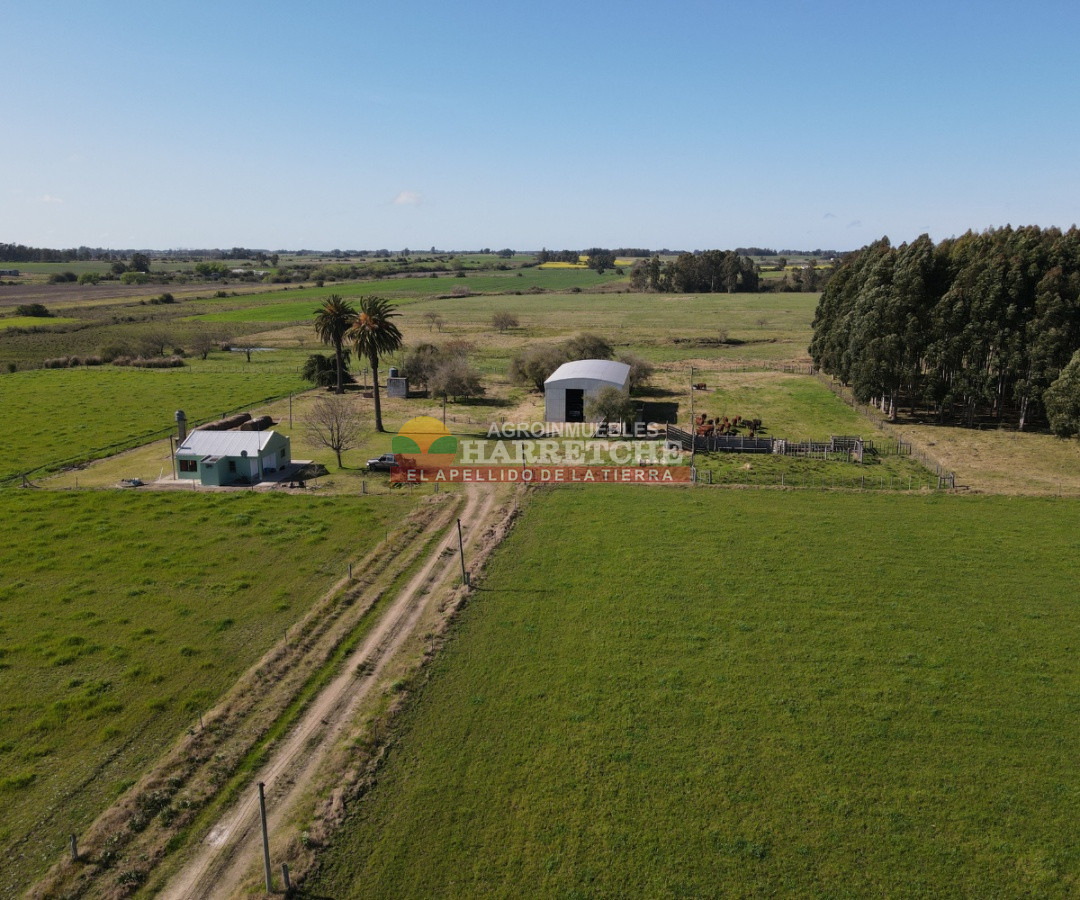 Campo Ref.263 - Campo en venta 18 has  Canelones, con todas las instalaciones! 