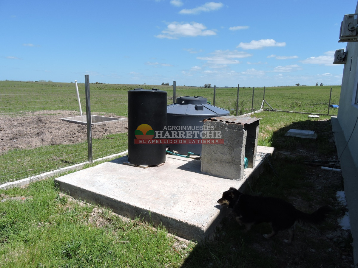 Campo Ref.345 - Campo en venta 19 has en Tapia, 2 casas, tajamares, a 15 min de San Jacinto! 