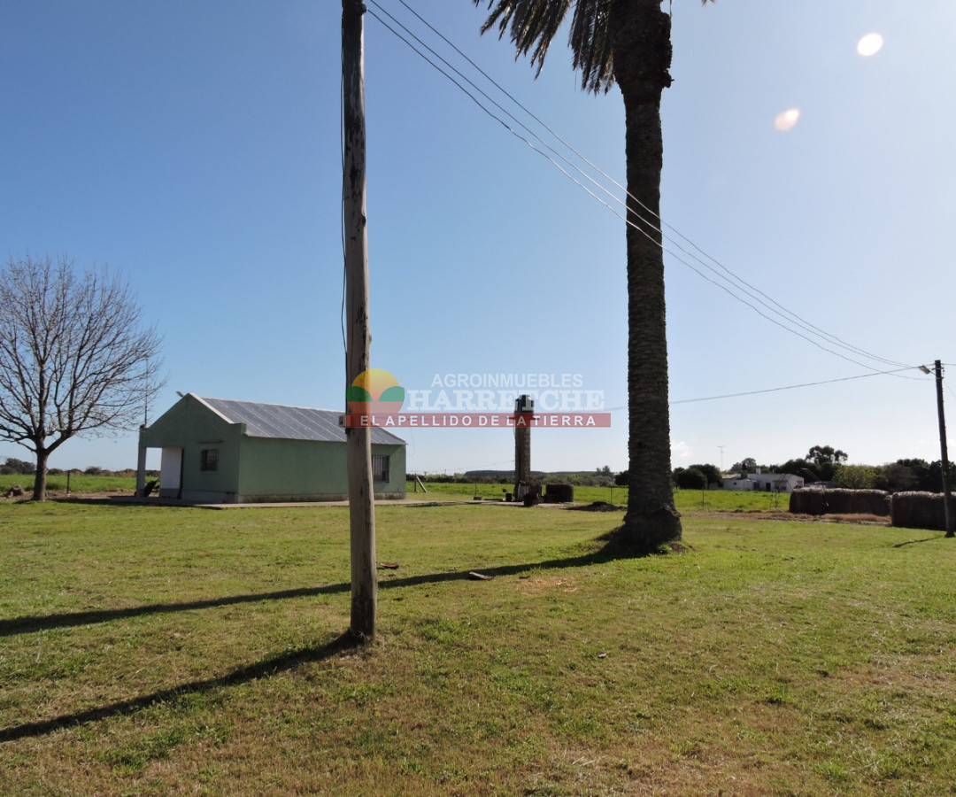 Campo Ref.263 - Campo en venta 18 has  Canelones, con todas las instalaciones! 