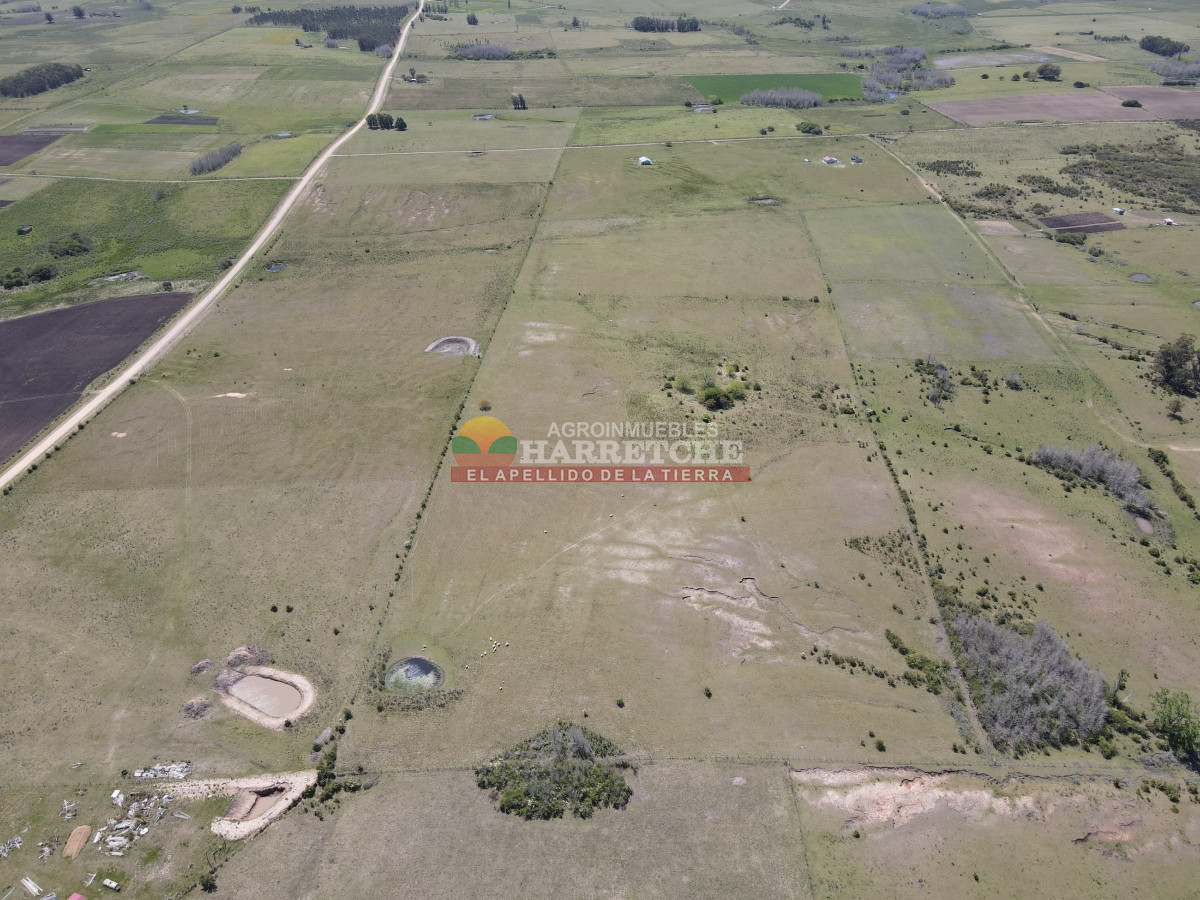 Campo Ref.345 - Campo en venta 19 has en Tapia, 2 casas, tajamares, a 15 min de San Jacinto! 