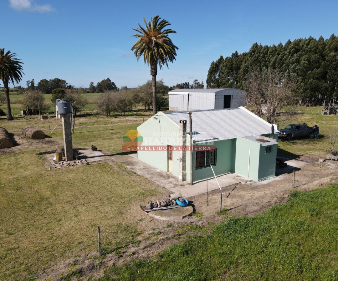 Campo Ref.263 - Campo en venta 18 has  Canelones, con todas las instalaciones! 