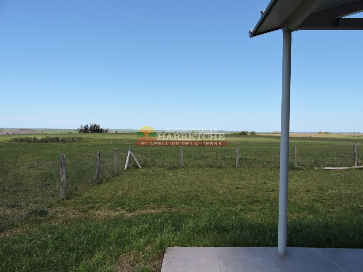 Campo Ref.345 - Campo en venta 19 has en Tapia, 2 casas, tajamares, a 15 min de San Jacinto! 