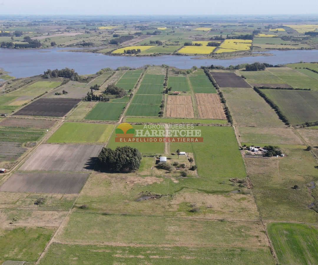 Campo Ref.263 - Campo en venta 18 has  Canelones, con todas las instalaciones! 