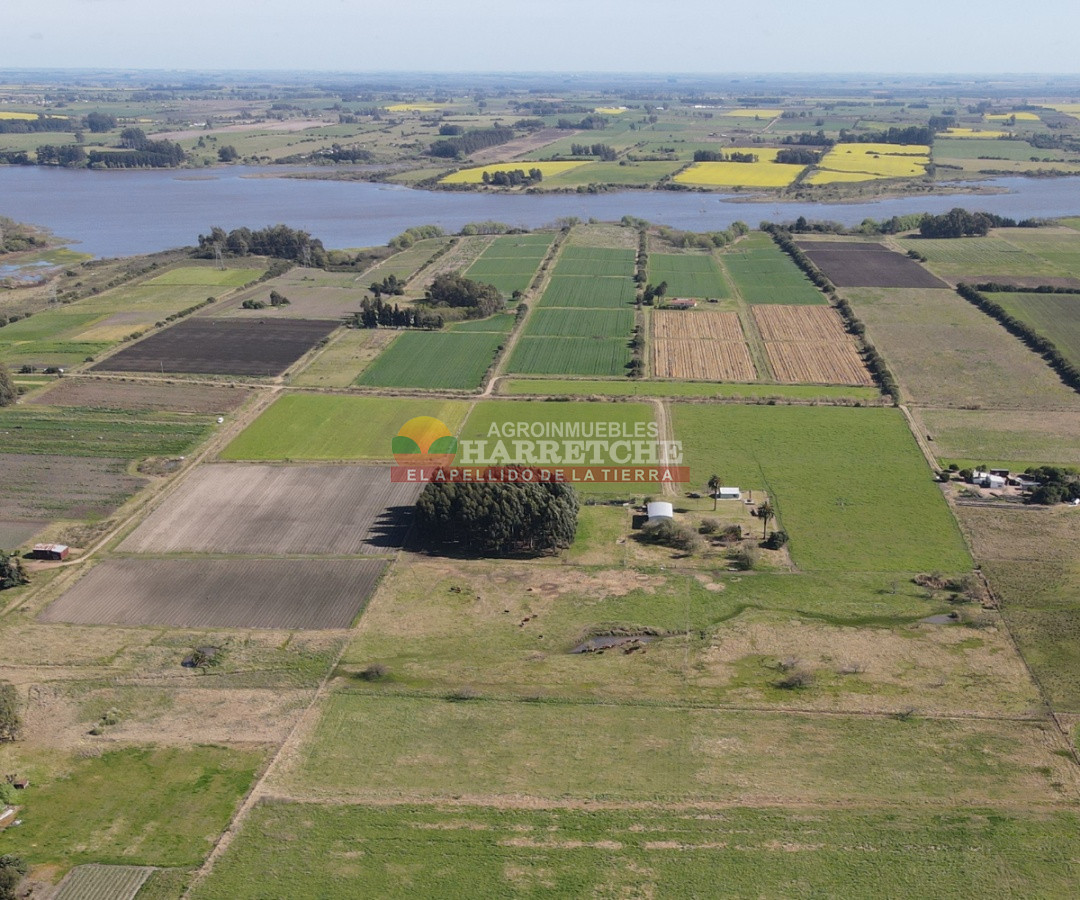 Campo Ref.263 - Campo en venta 18 has  Canelones, con todas las instalaciones! 